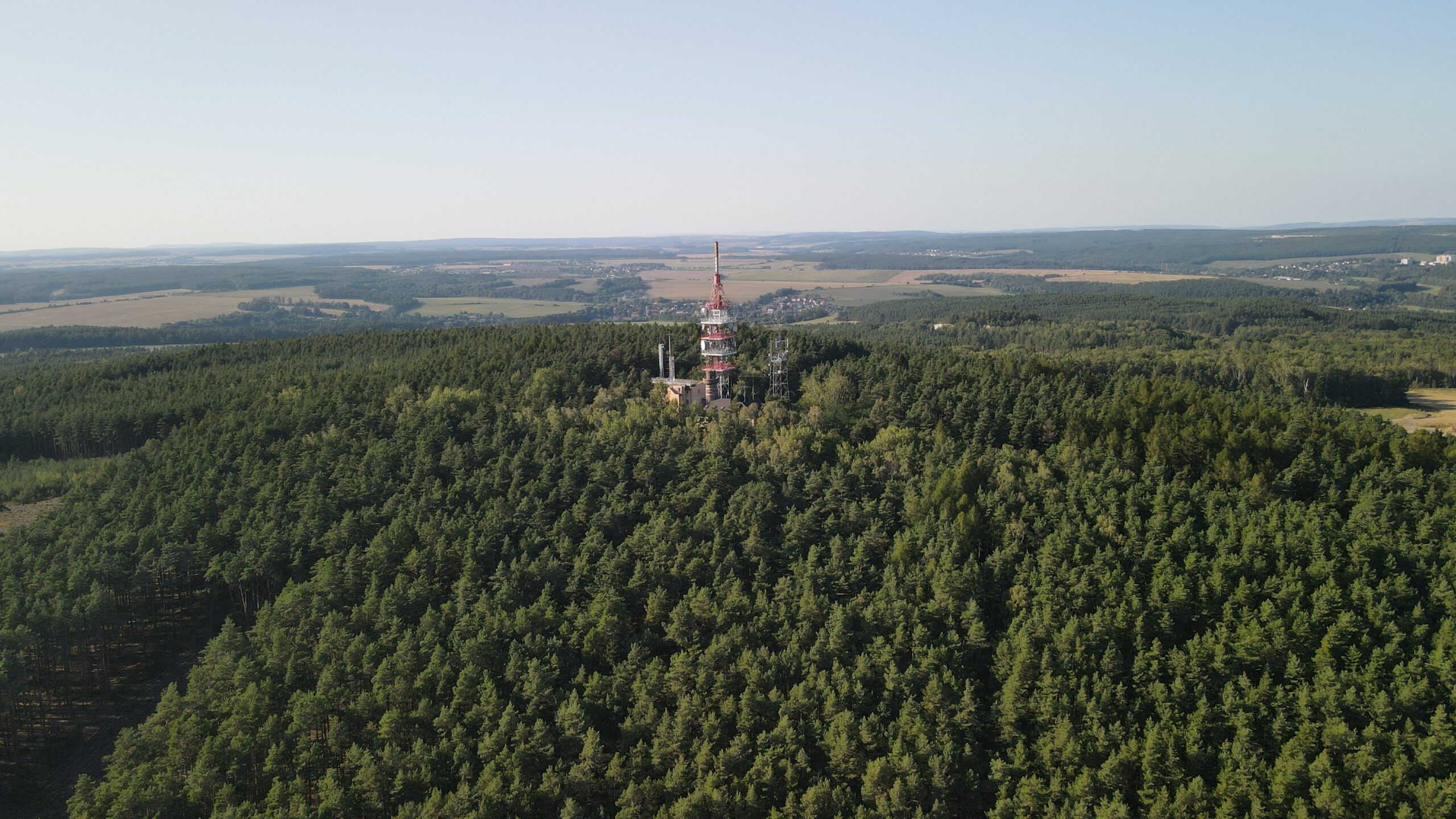 Krkavec z výšky
